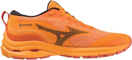 Mizuno Wave Rider Gtx